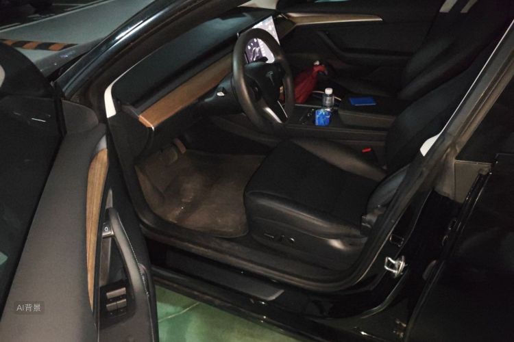 Tesla Model 3 2021 car image #18