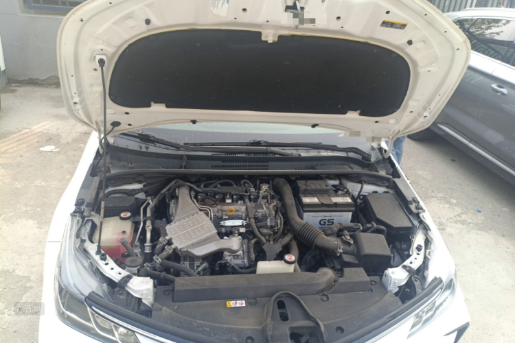 Toyota Corolla 2021 car image #22