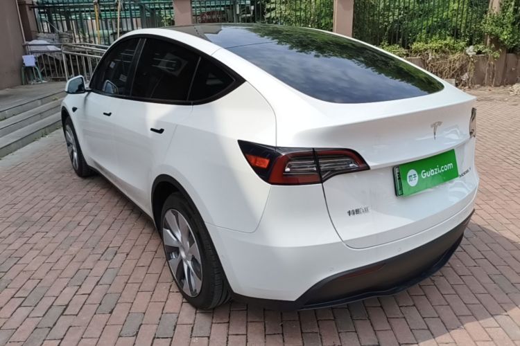Tesla Model Y 2023 car image #5