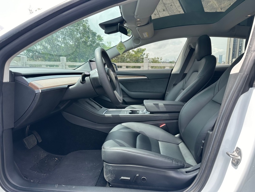 Tesla Model 3 2021 #4 Tesla Model 3 2021 car image #4