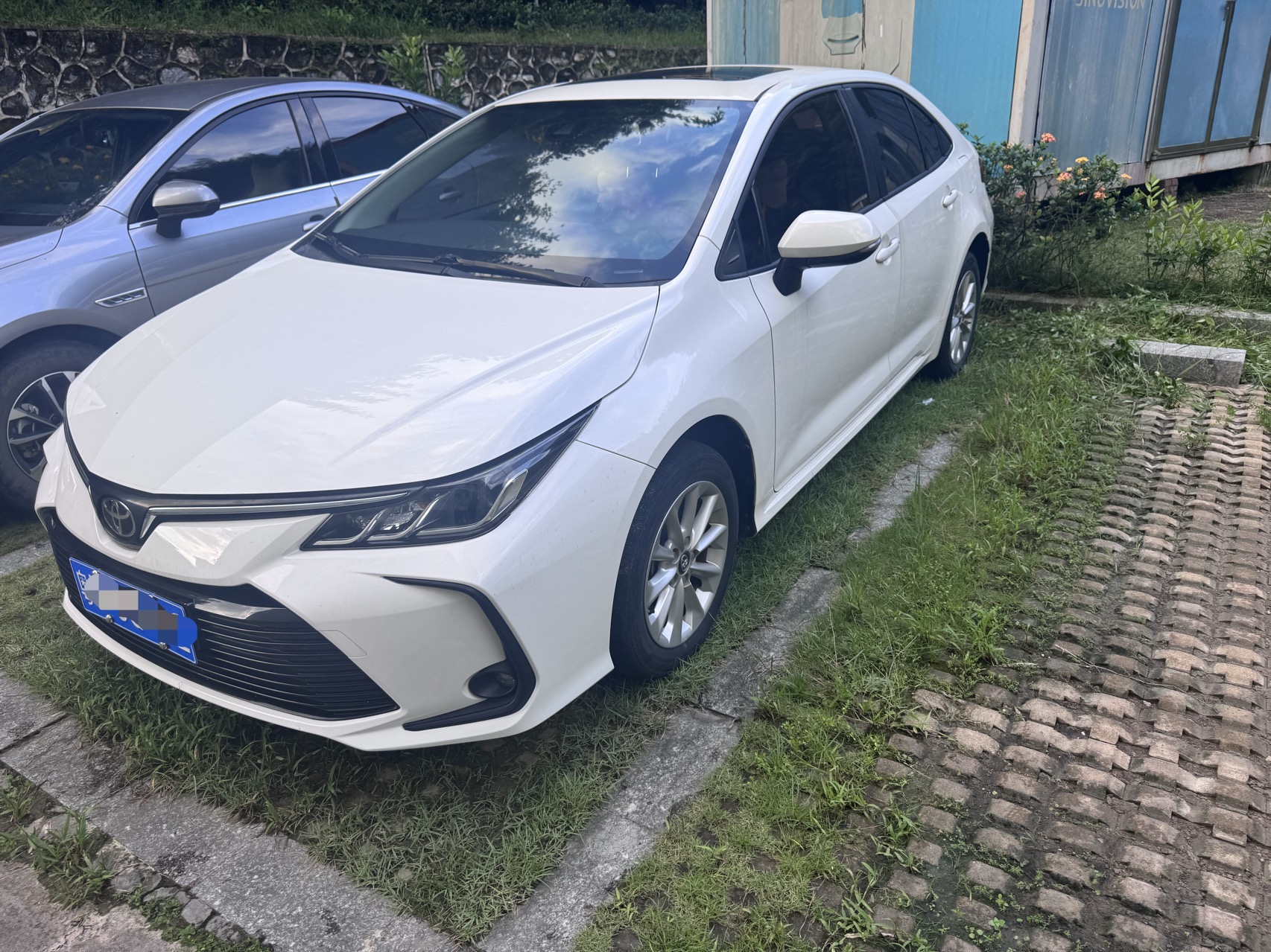 Toyota Corolla 2022 Toyota Corolla 2022 car image