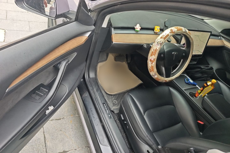Tesla Model 3 2021 car image #16
