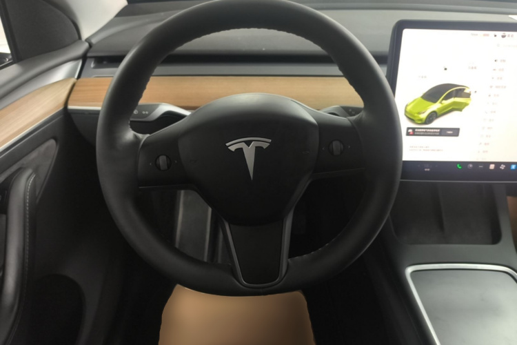 Tesla Model Y 2021 car image #11