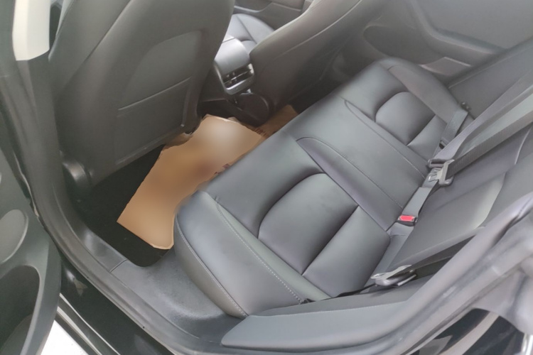 Tesla Model 3 2023 car image #17