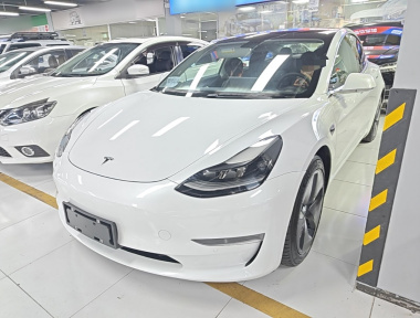 Tesla Model 3 2020 car image 
