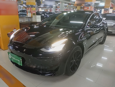 Tesla Model 3 2020 Tesla Model 3 2020 car image