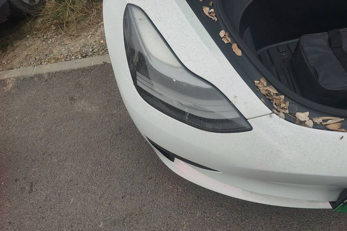 Tesla Model 3 2021 car image #7