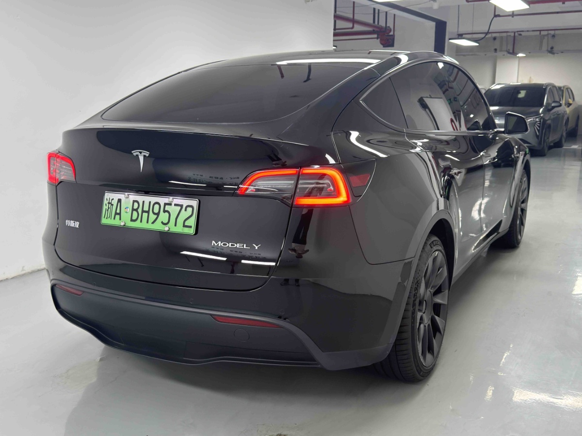 Tesla Model Y 1969 car image #8