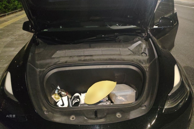Tesla Model Y 2021 car image #22