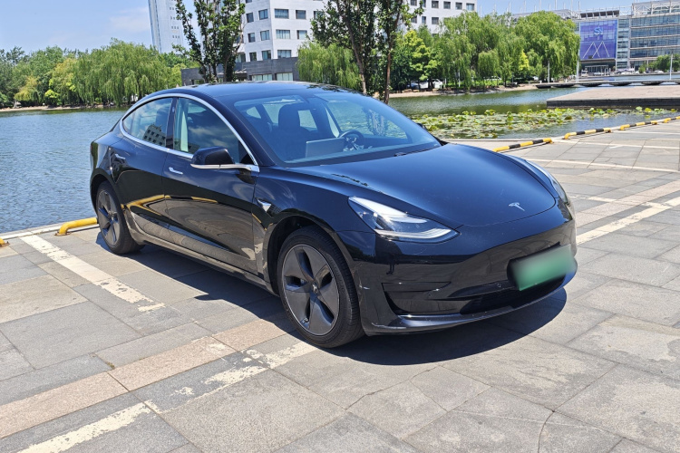 Tesla Model 3 2020 car image #4
