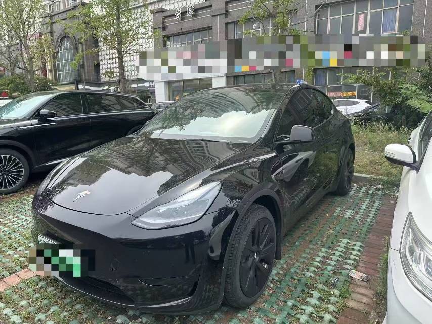 Tesla Model Y 2023 Tesla Model Y 2023 car image