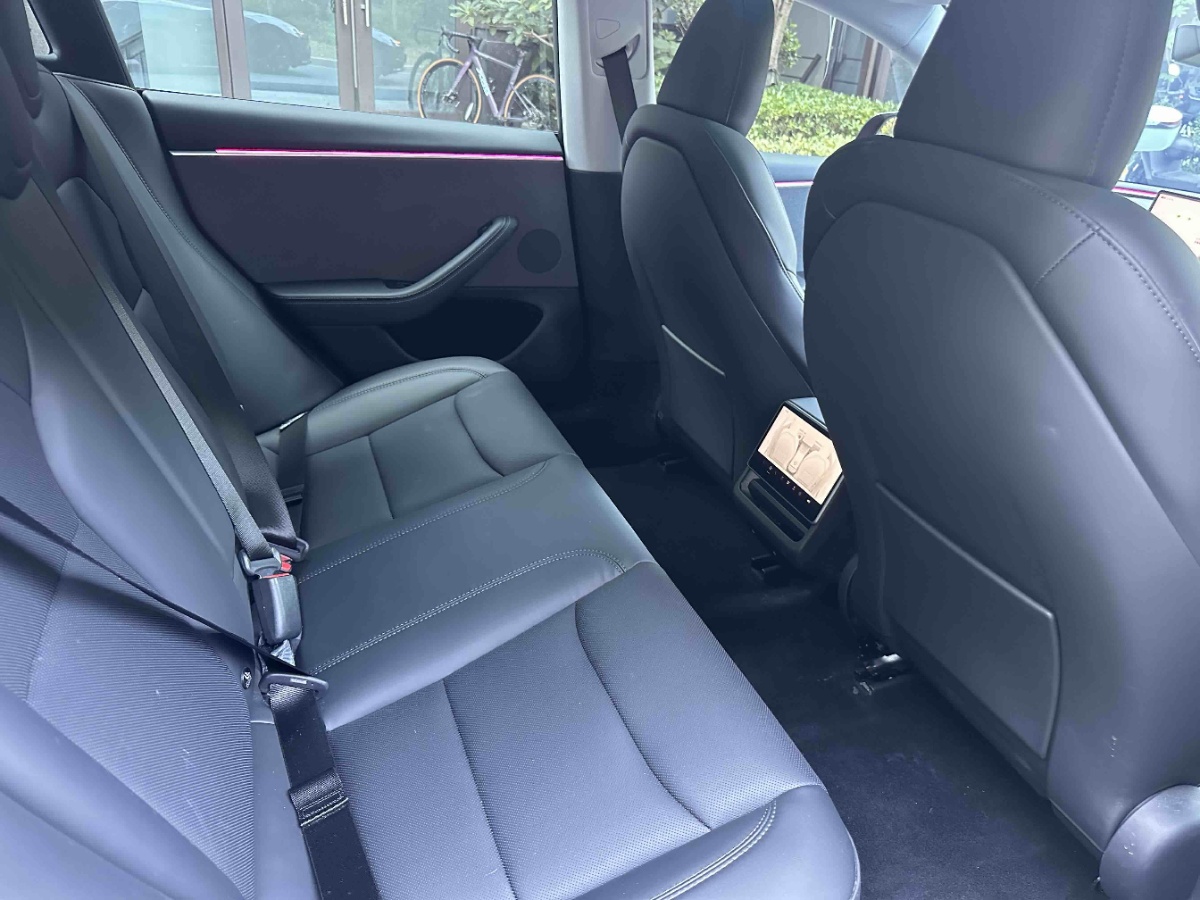 Tesla Model 3 2024 immagine di auto #9