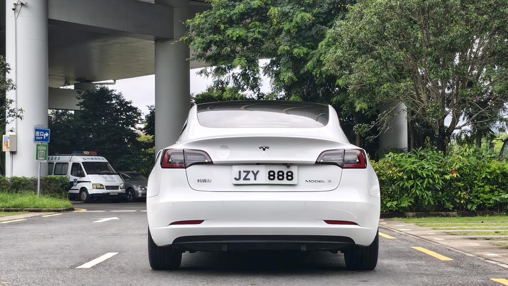 Tesla Model 3 2020 car image #6