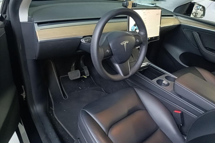 Tesla Model Y 2021 car image #10