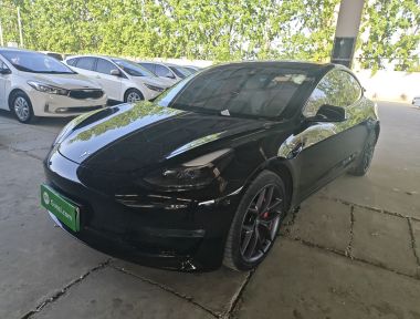 Tesla Model 3 2021 Tesla Model 3 2021 immagine di auto