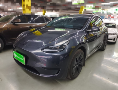 Tesla Model Y 2024 car image 
