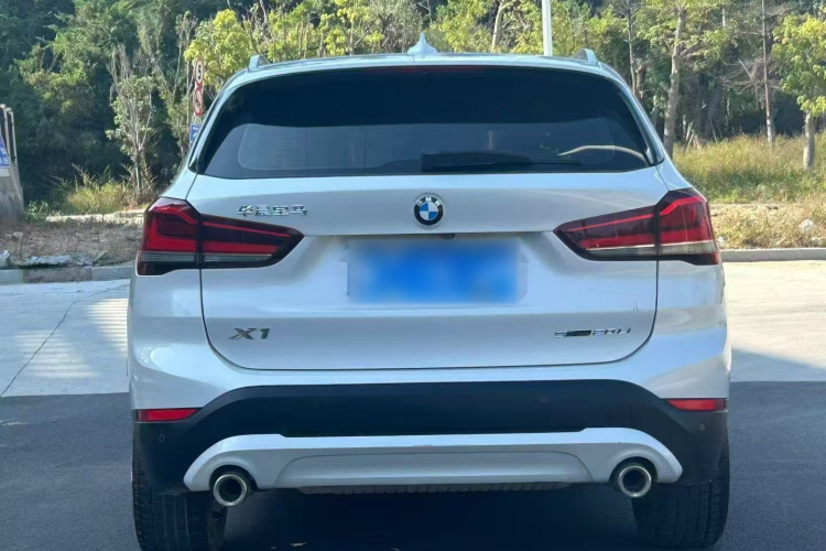BMW X1 2019 imagem de carro #6