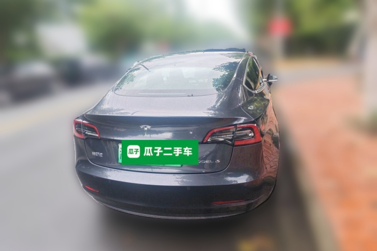 Tesla Model 3 2020 car image #4
