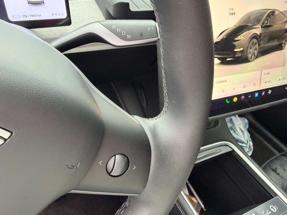 Tesla Model Y 2024 car image #10
