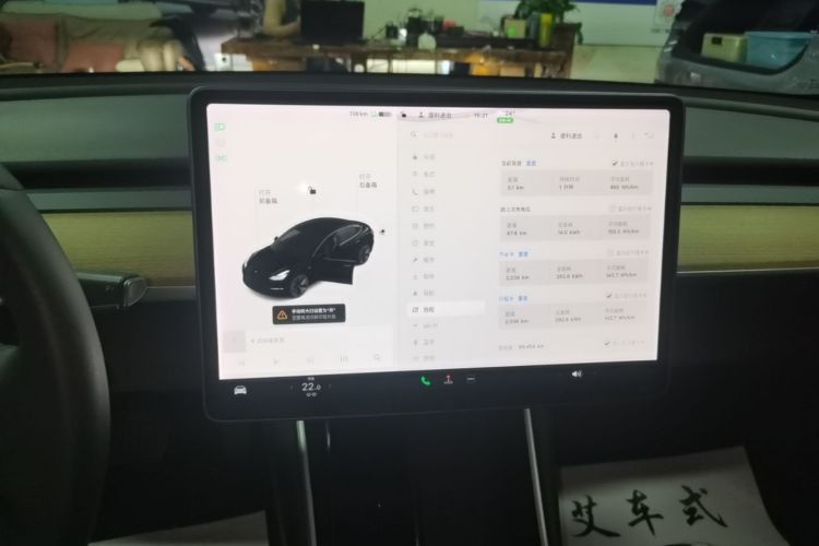 Tesla Model 3 2020 car image #13