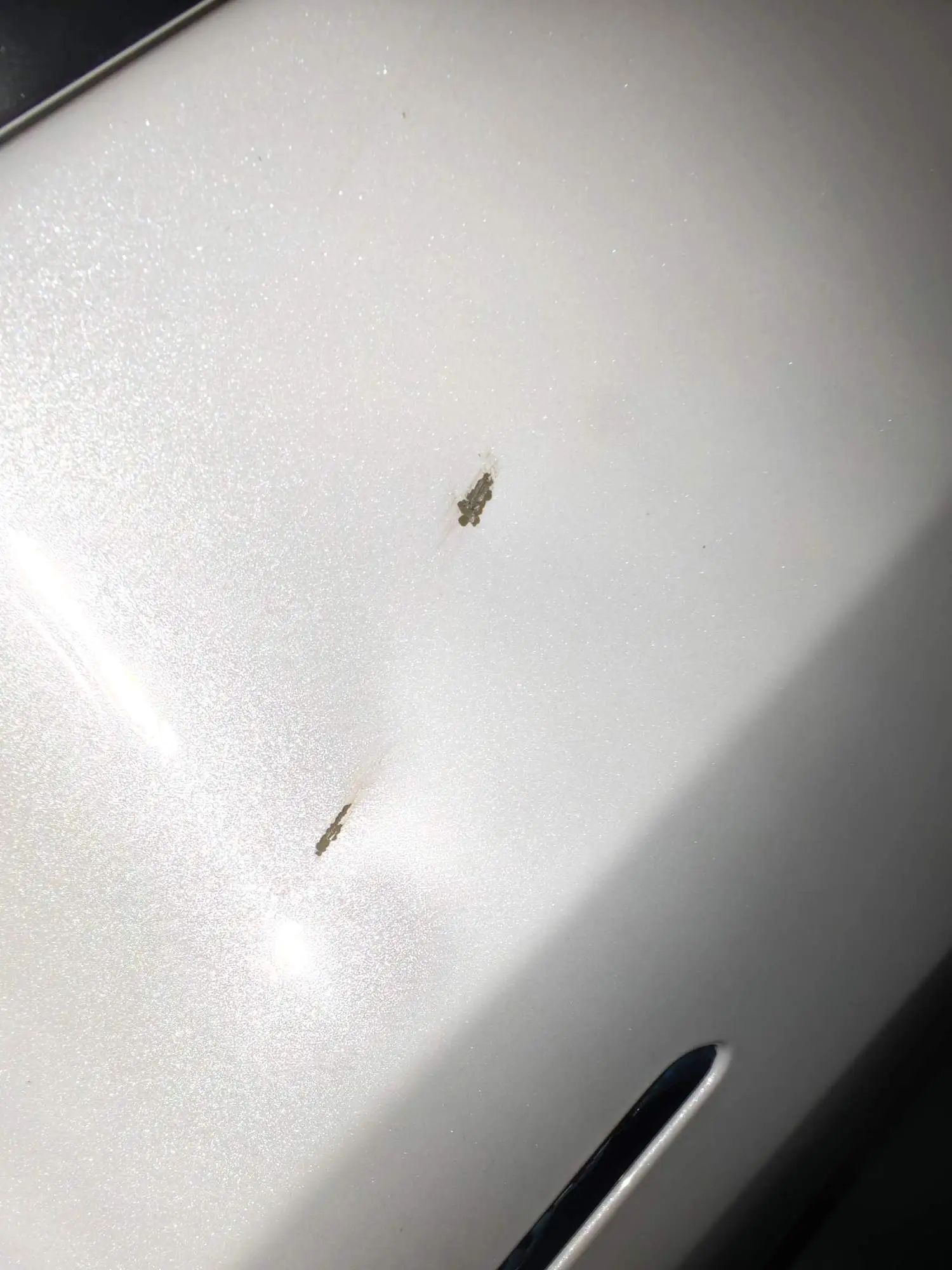 Tesla Model 3 2020 car image #14