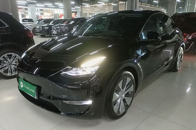 Tesla Model Y 2021 #2 Tesla Model Y 2021 car image #2