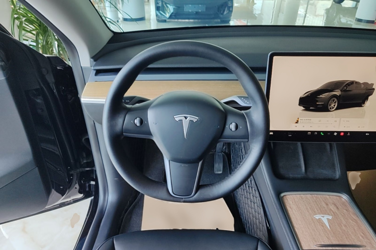 Tesla Model Y 2022 car image #15
