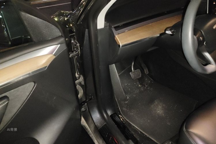 Tesla Model Y 2021 car image #18