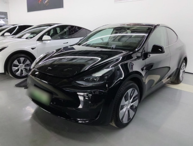 Tesla Model Y 2023 car image 