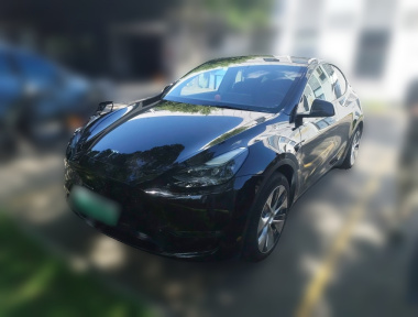 Tesla Model Y 2021 Tesla Model Y 2021 car image