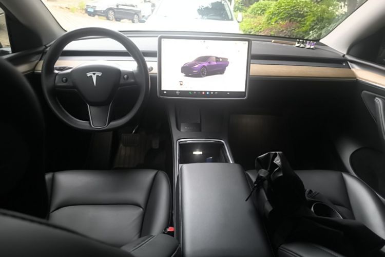 Tesla Model Y 2022 car image #10