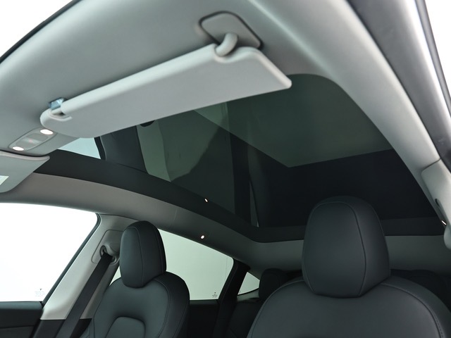 Tesla Model Y 2021 car image #6