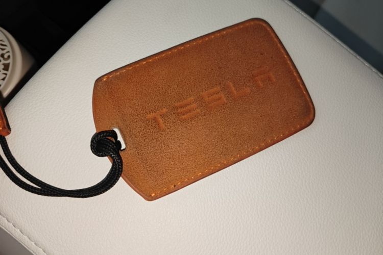 Tesla Model Y 2021 car image #14