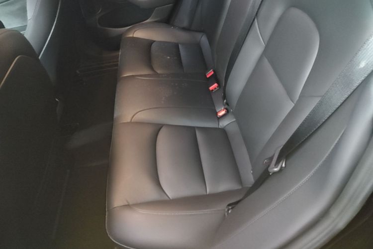 Tesla Model 3 2021 car image #17