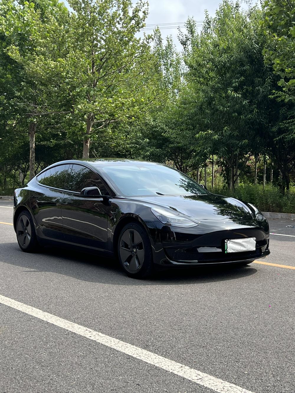 Tesla Model 3 2022 #3 Tesla Model 3 2022 car image #3