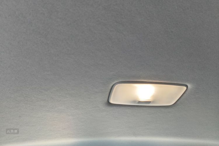 Toyota Corolla 2024 car image #20