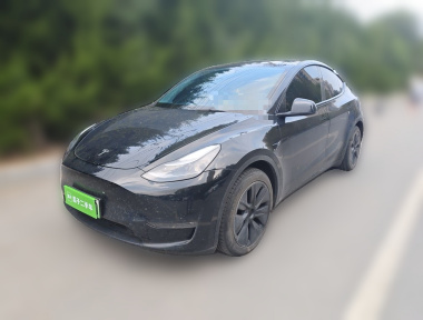 Tesla Model Y 2023 car image 