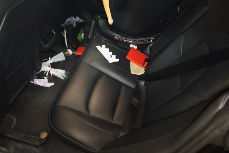 Tesla Model 3 2021 #14 Tesla Model 3 2021 car image #14