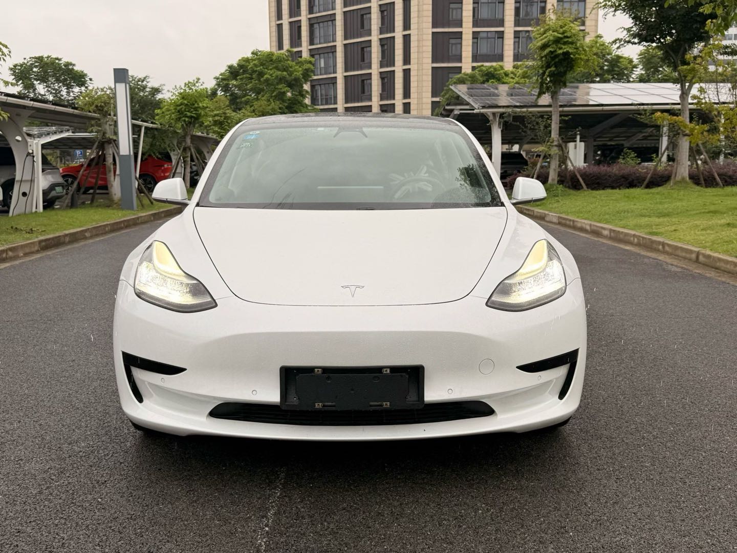 Tesla Model 3 (Imported) 2019 #6 Tesla Model 3 (Imported) 2019 immagine di auto #6