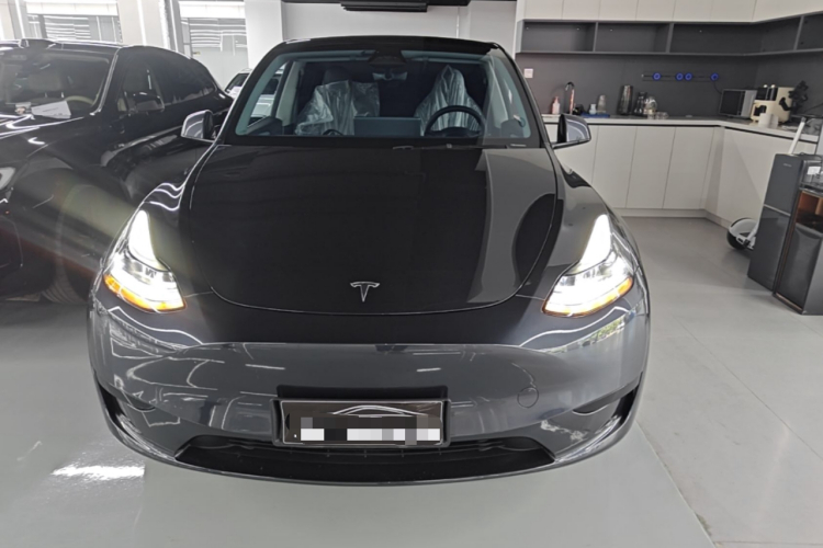 Tesla Model Y 2025 car image #3