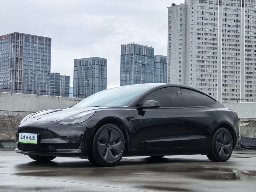 Tesla Model 3 2022 Tesla Model 3 2022 immagine di auto