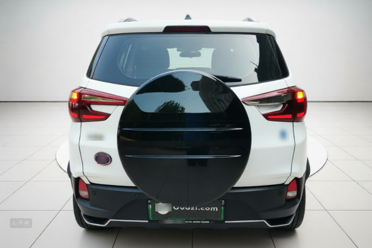 BYD Yuan New Energy 2019 car image #6