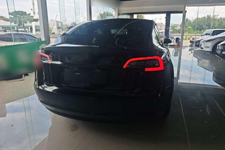 Tesla Model 3 2021 #6 Tesla Model 3 2021 car image #6