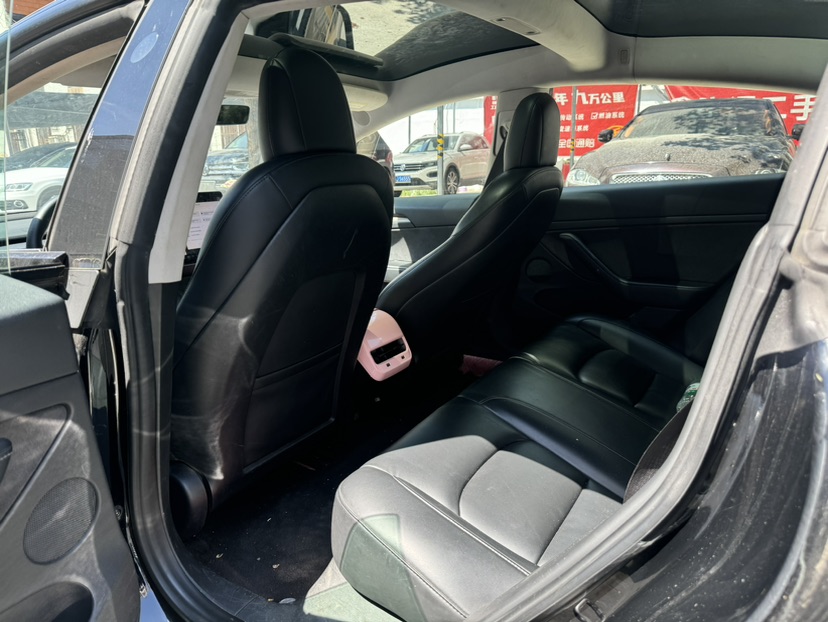 Tesla Model 3 2021 car image #8