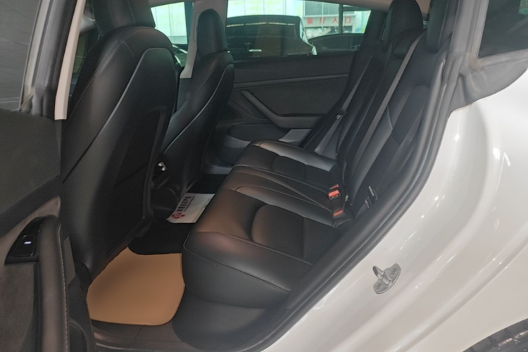 Tesla Model 3 2020 #17 Tesla Model 3 2020 car image #17