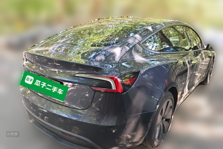 Tesla Model 3 2025 car image #7