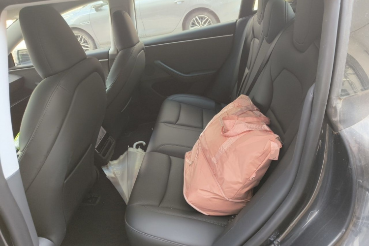 Tesla Model 3 2024 car image #10