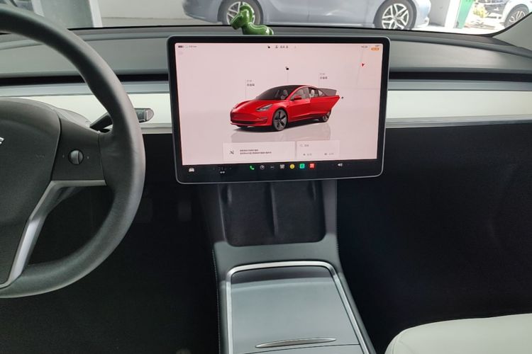 Tesla Model 3 2022 car image #13