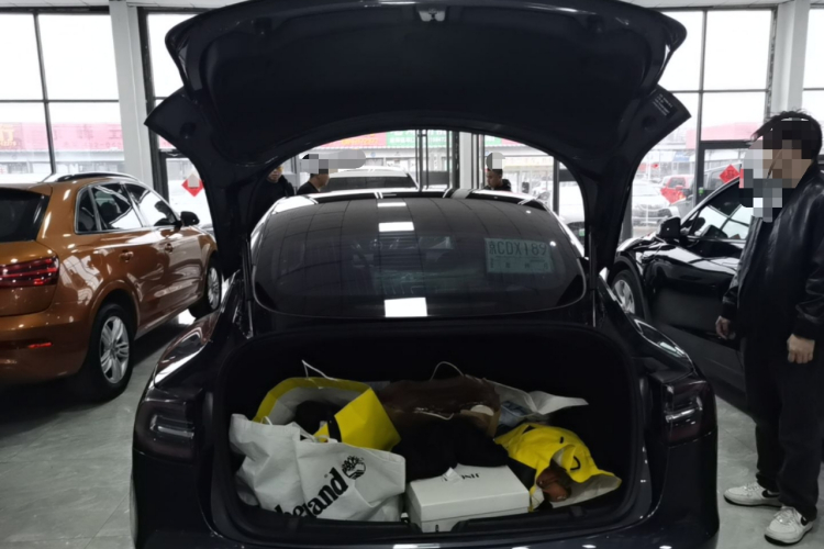 Tesla Model 3 2020 car image #19