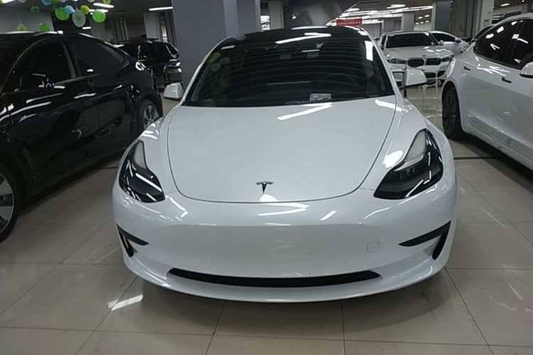 Tesla Model 3 2021 car image #3